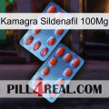 Kamagra Sildenafil 100Mg 05